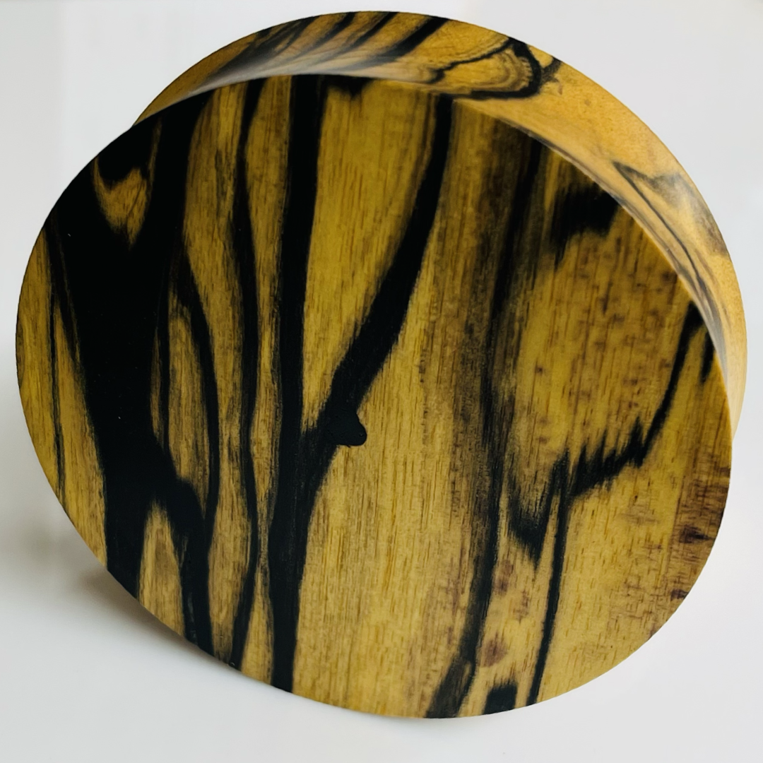 Black & White Ebony Solid Round Plugs