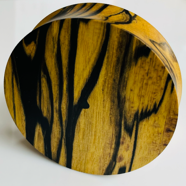 Black & White Ebony Solid Round Plugs