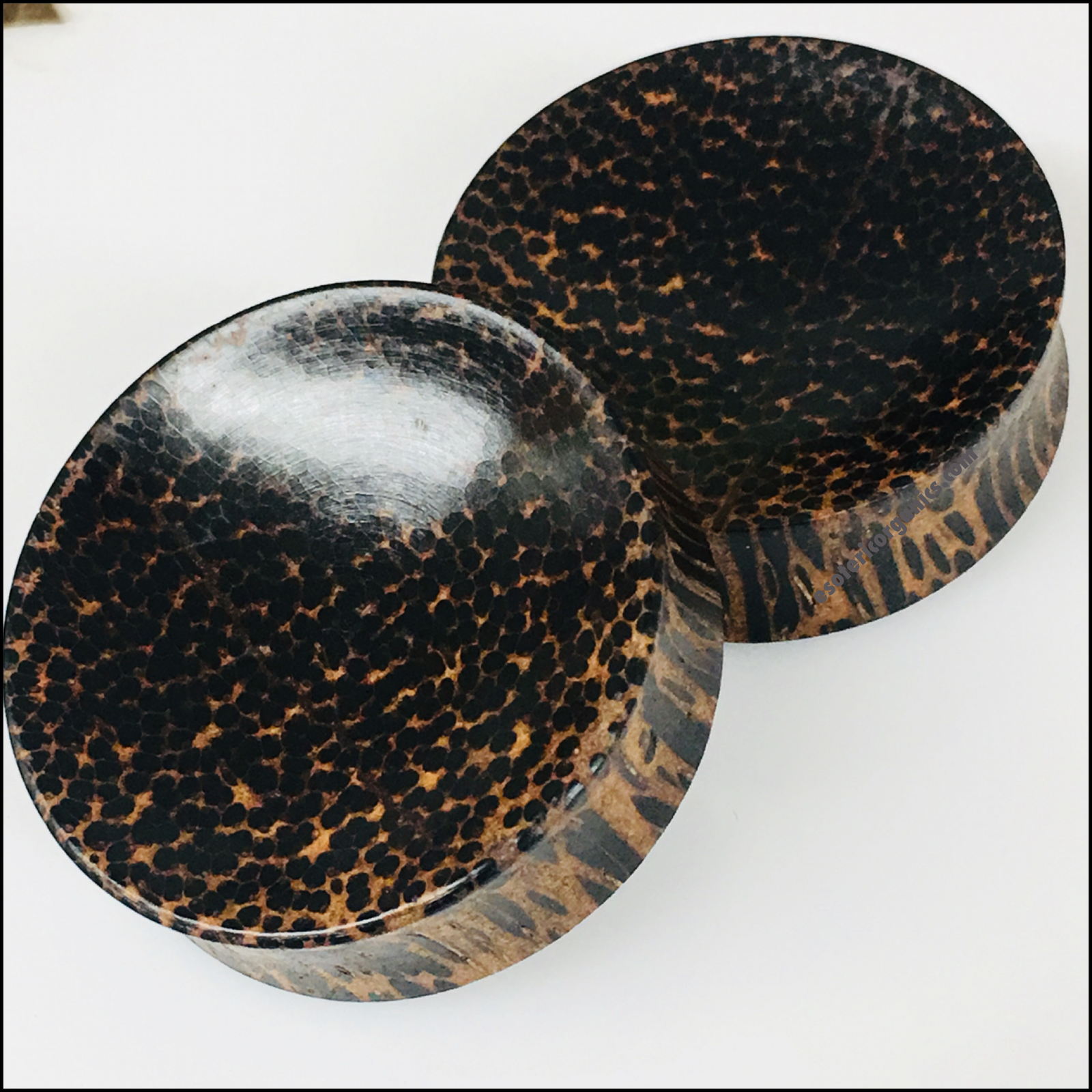Black Palm Concave Round Plugs