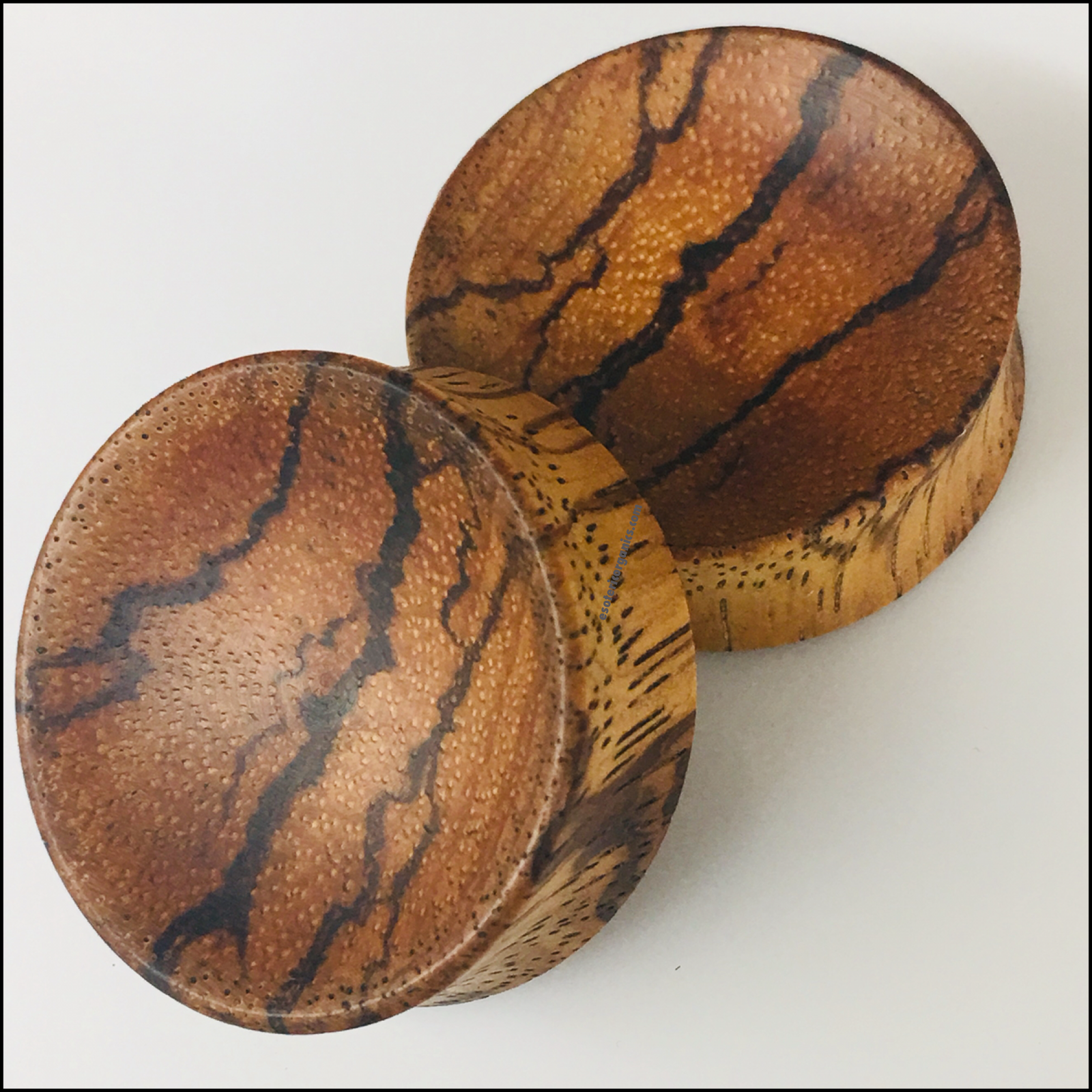 Zebrawood Concave Round Plugs
