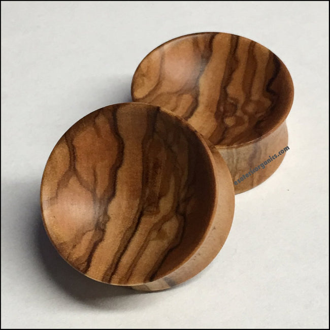 Olivewood Concave Round Plugs